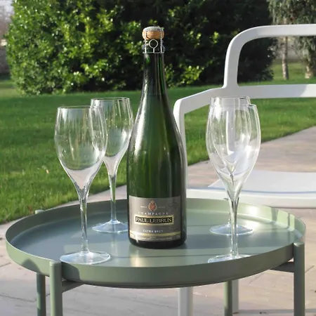 住宿加早餐酒店 Clos La Chapelle Mareuil-sur-Ay